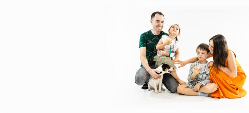 Новое поступление диванов! Хиты снова в продаже